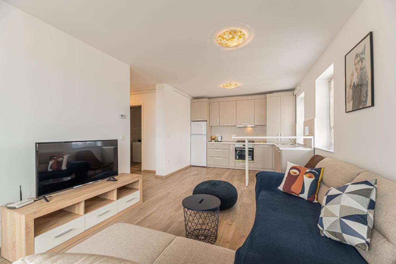 Coresi Modern Apartment 브라쇼브 외부 사진
